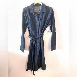 Gap Denim Button Down Dress NWOT